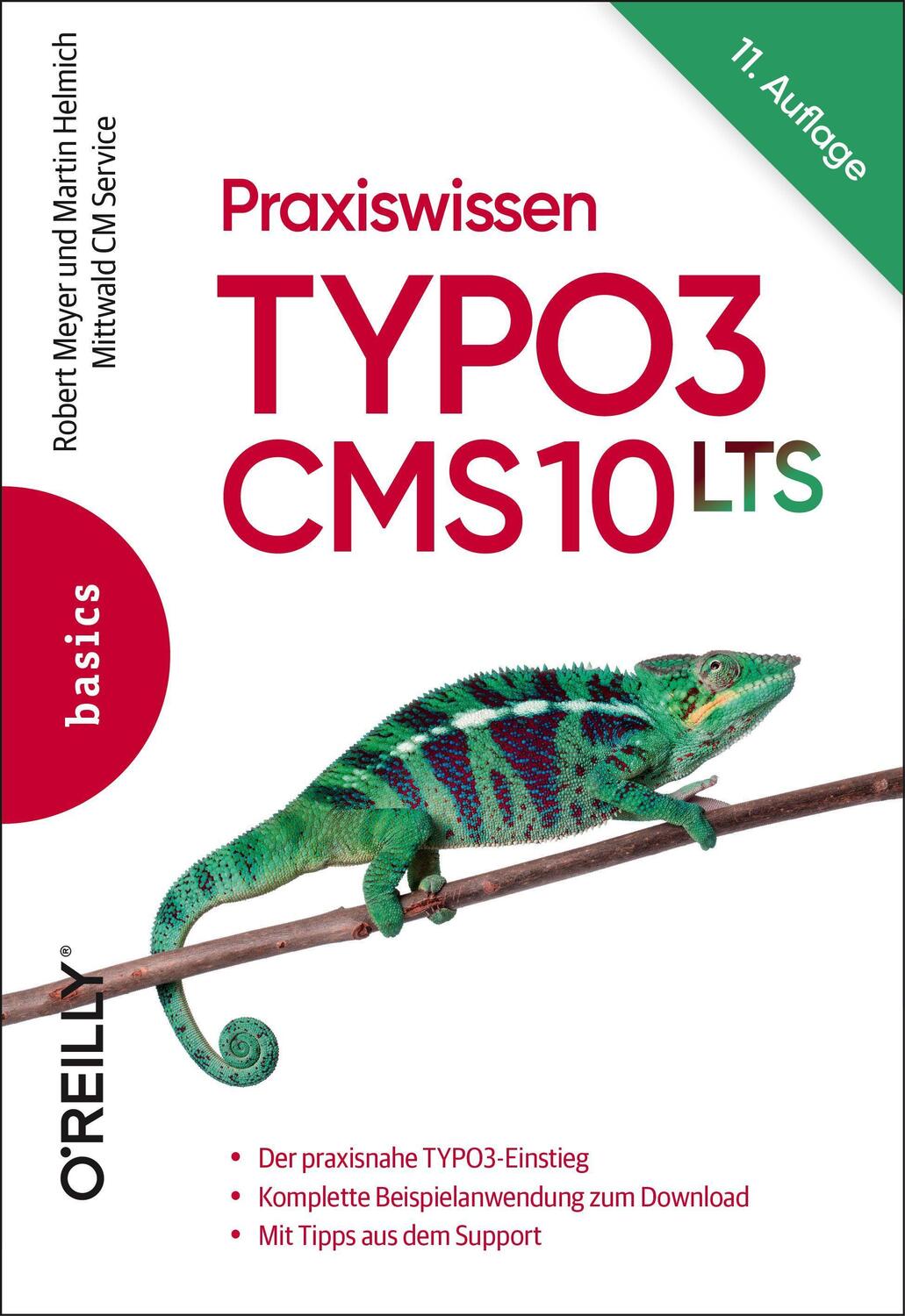 Cover: 9783960091486 | Praxiswissen TYPO3 CMS 10 LTS | Robert Meyer (u. a.) | Taschenbuch