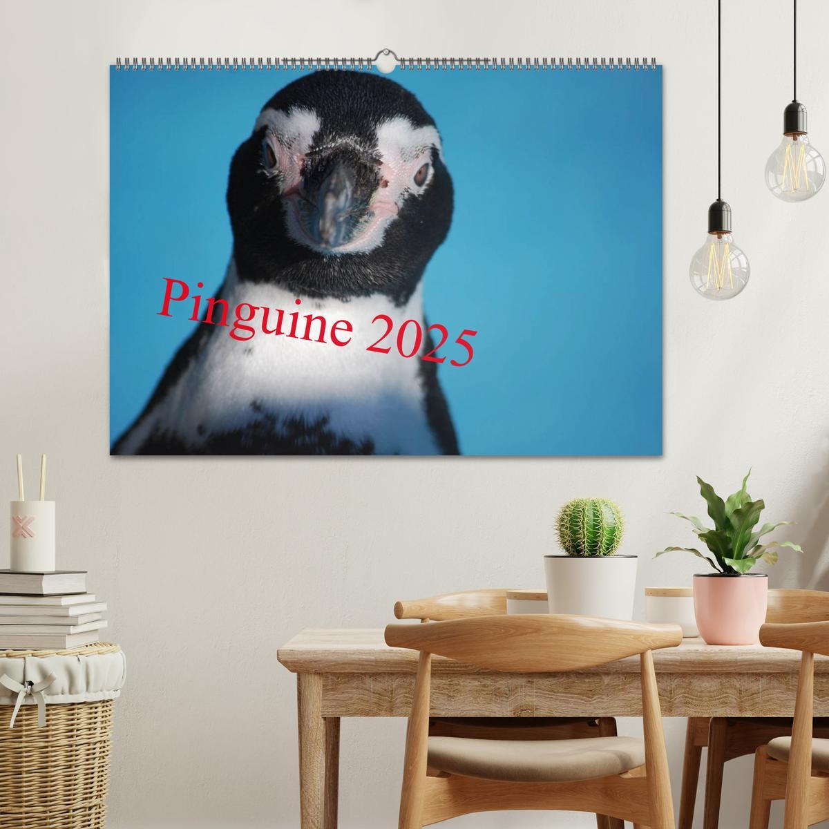 Bild: 9783435789603 | Pinguine 2025 (Wandkalender 2025 DIN A2 quer), CALVENDO Monatskalender