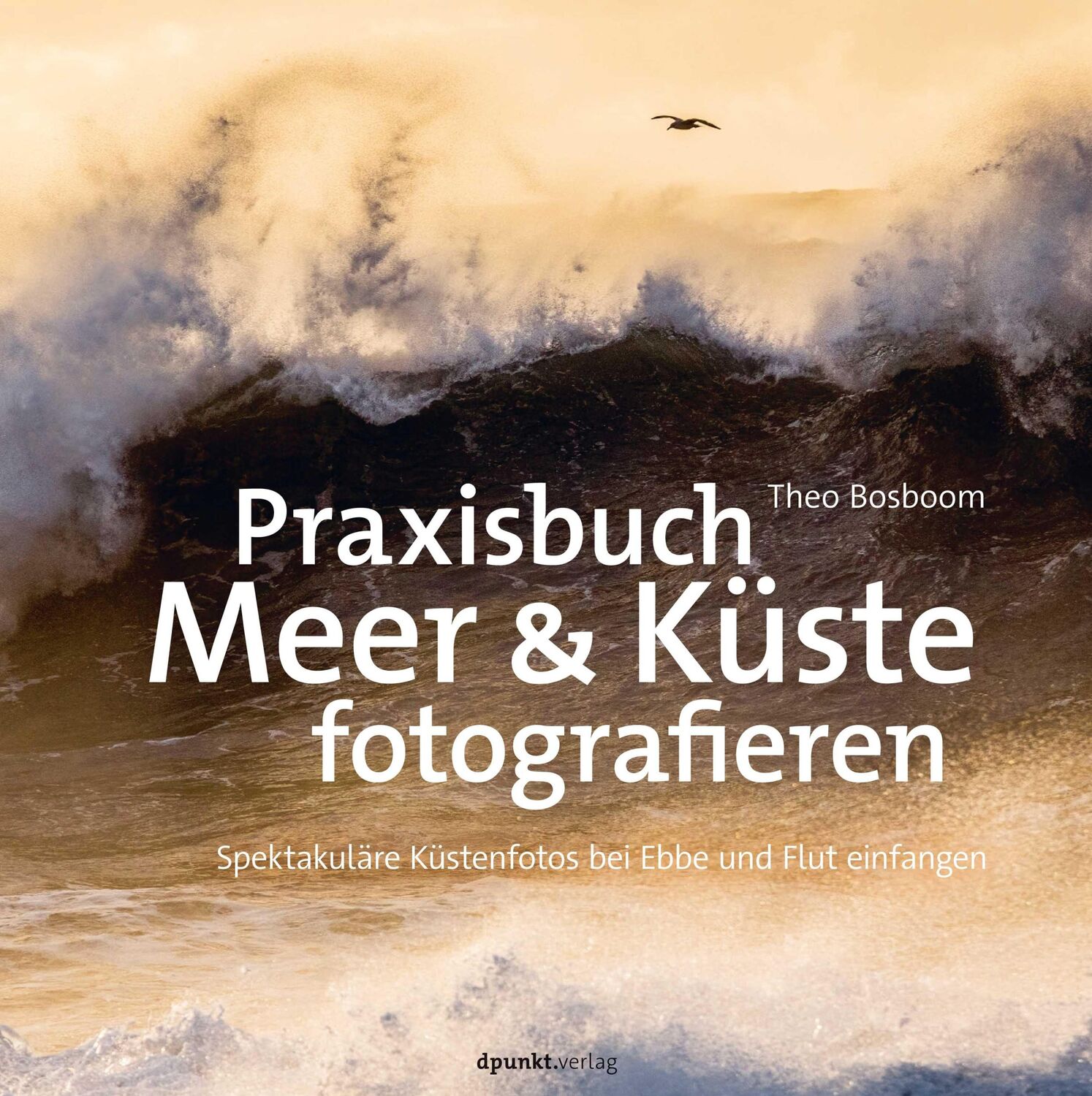 Cover: 9783864908736 | Praxisbuch Meer &amp; Küste fotografieren | Theo Bosboom | Buch | XIV