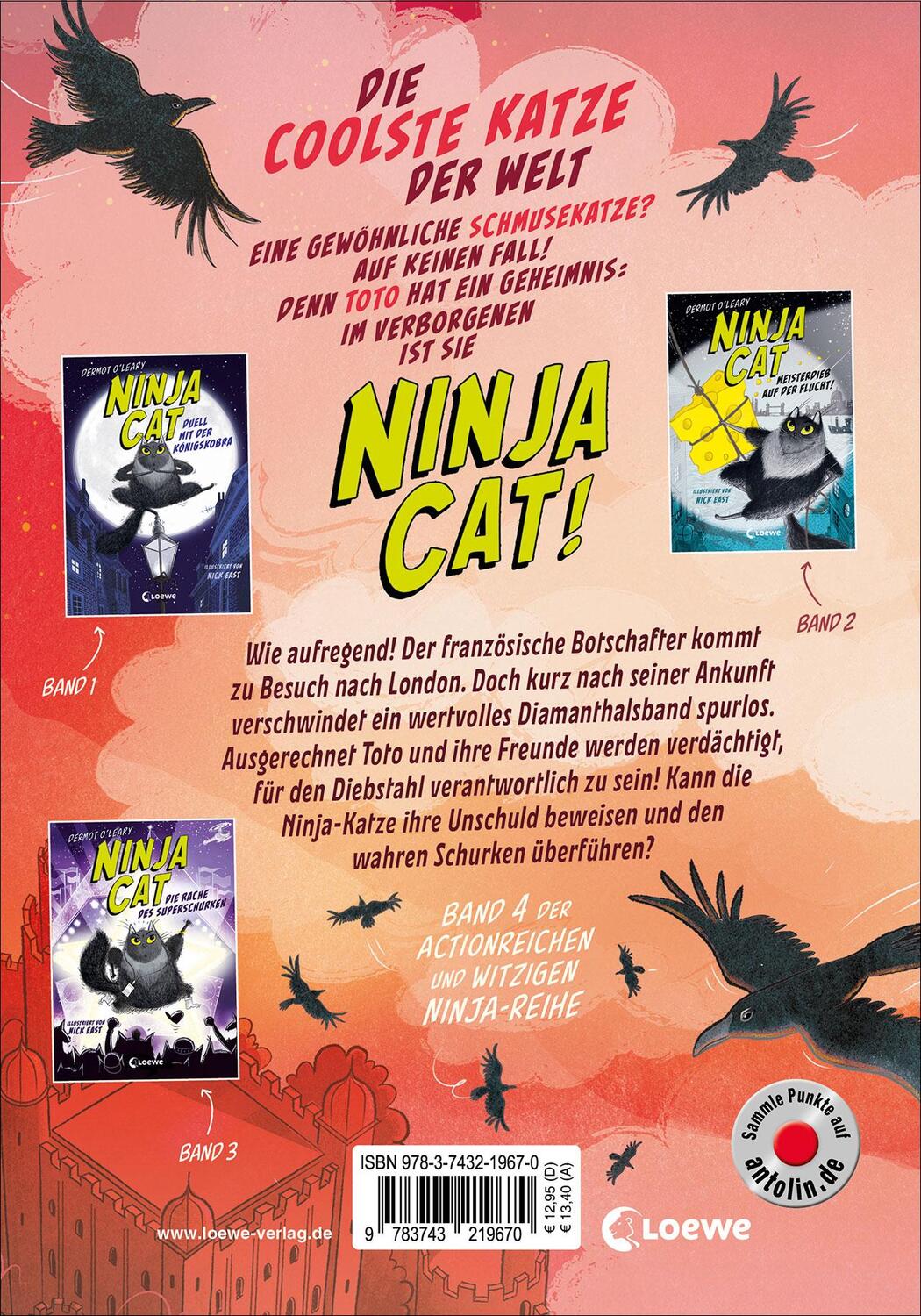 Rückseite: 9783743219670 | Ninja Cat (Band 4) - Der mysteriöse Juwelenraub | Dermot O'Leary