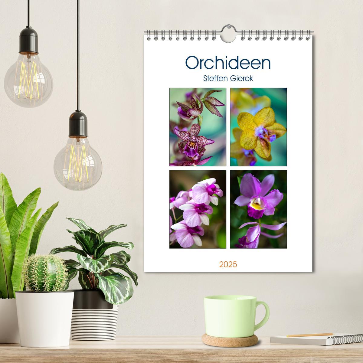 Bild: 9783435961290 | Orchideen (Wandkalender 2025 DIN A4 hoch), CALVENDO Monatskalender