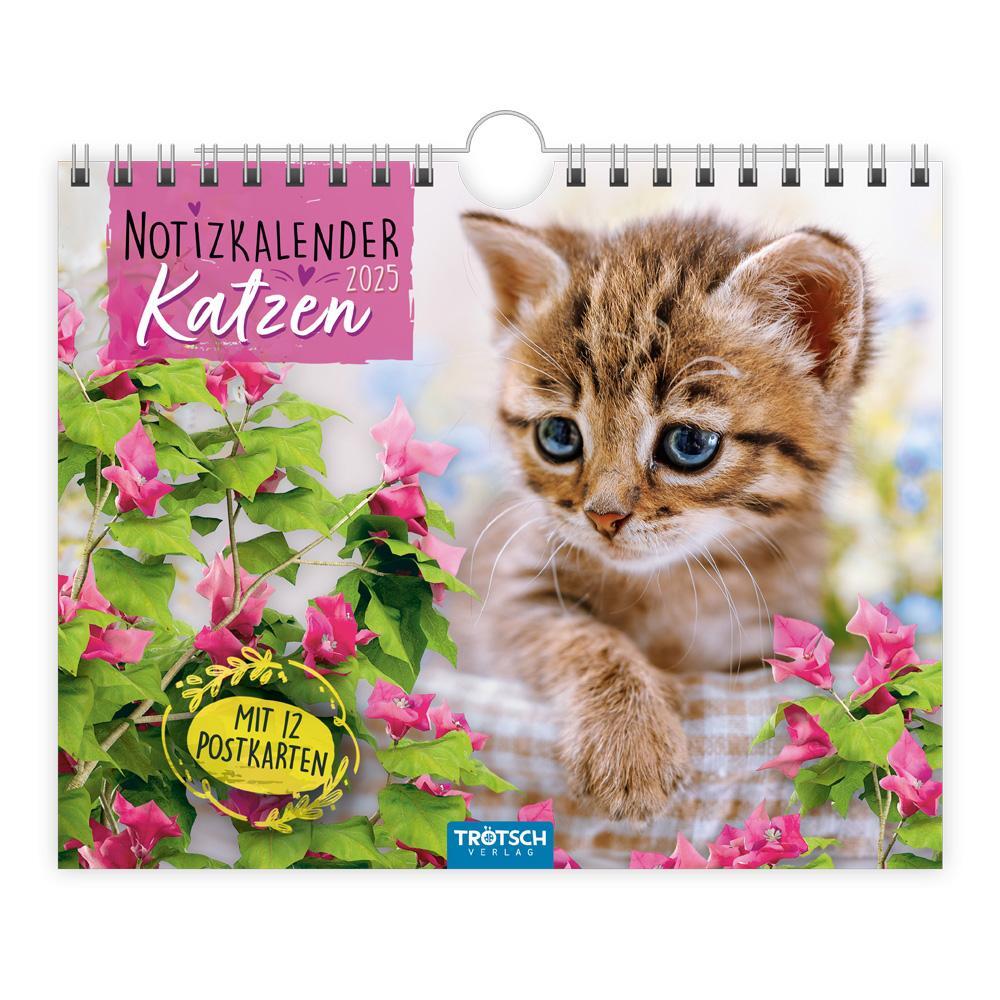 Cover: 9783988022493 | Trötsch Notizkalender Querformat Notizkalender Katzen 2025 mit 12...