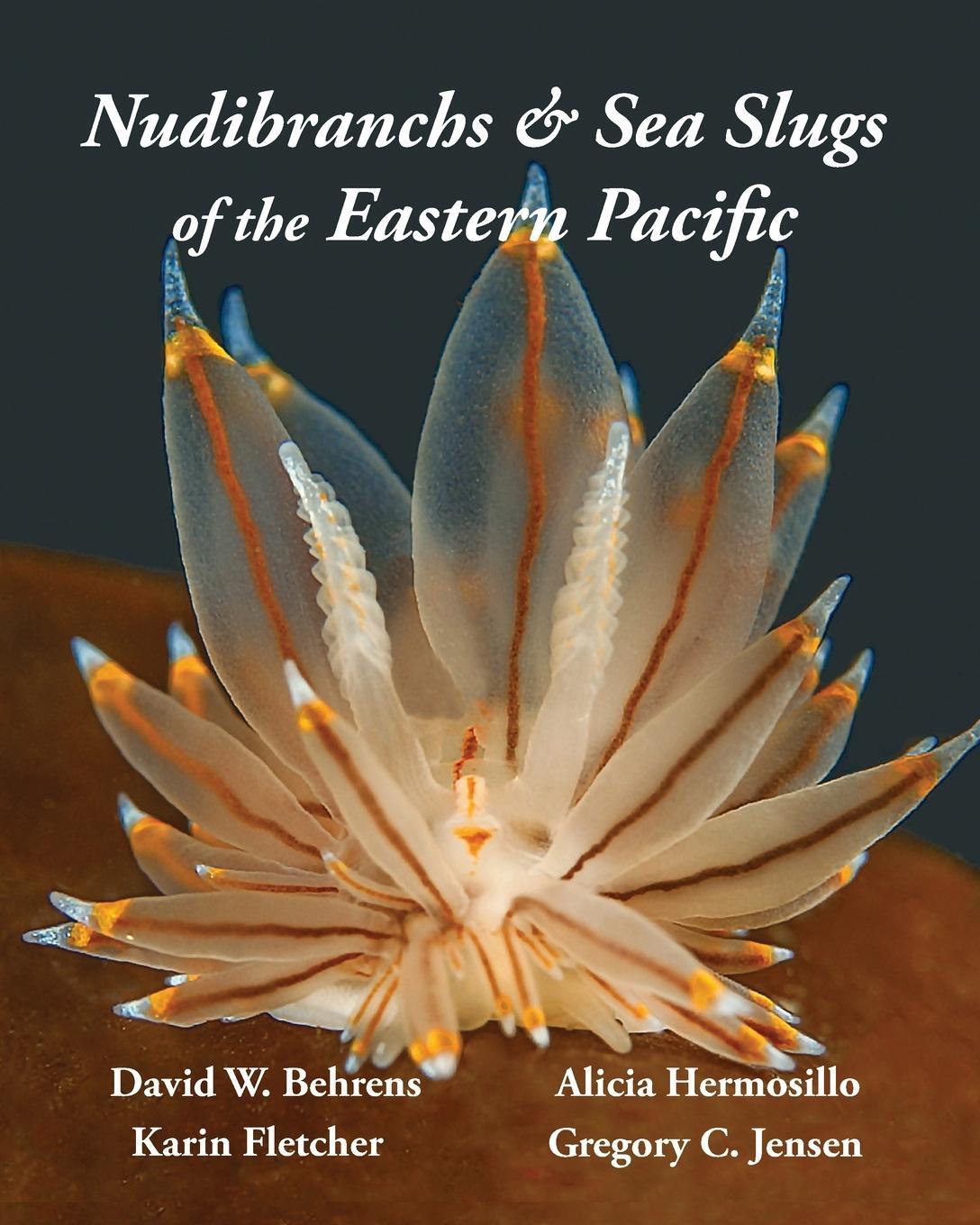 Cover: 9780989839129 | Nudibranchs & Sea Slugs of the Eastern Pacific | Gregory C Jensen