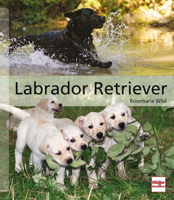 Cover: 9783275017904 | Labrador Retriever | Rosemarie Wild | Buch | 192 S. | Deutsch | 2011