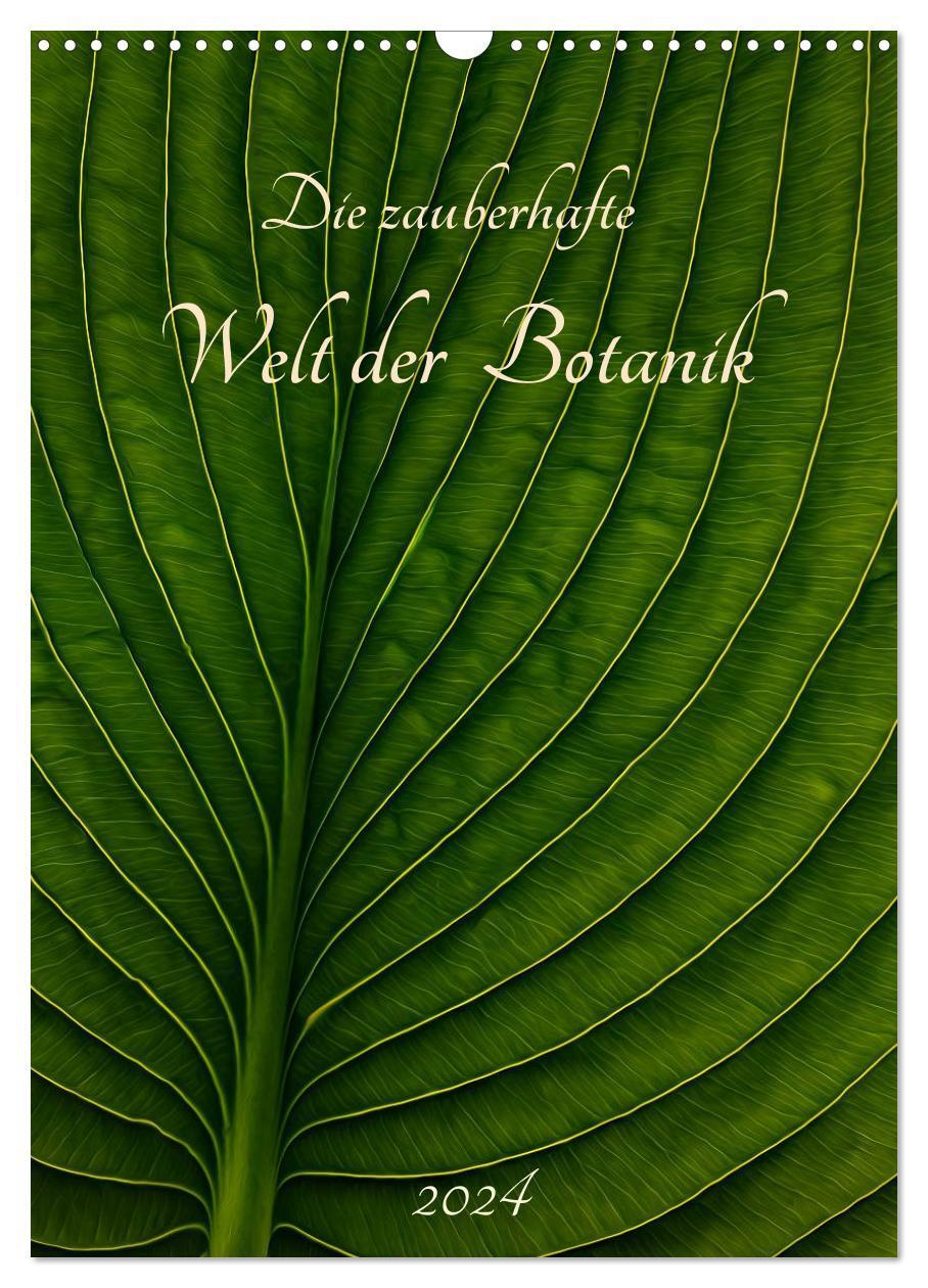 Cover: 9783383242366 | Die zauberhafte Welt der Botanik (Wandkalender 2024 DIN A3 hoch),...