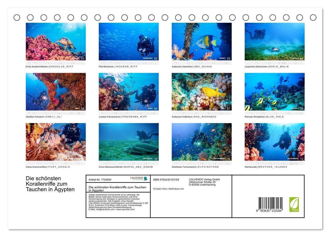 Bild: 9783435103164 | Die schönsten Korallenriffe zum Tauchen in Ägypten (Tischkalender...