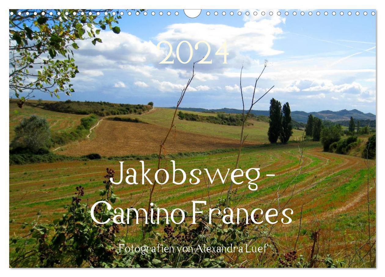Cover: 9783383421259 | Jakobsweg - Camino Frances (Wandkalender 2024 DIN A3 quer),...
