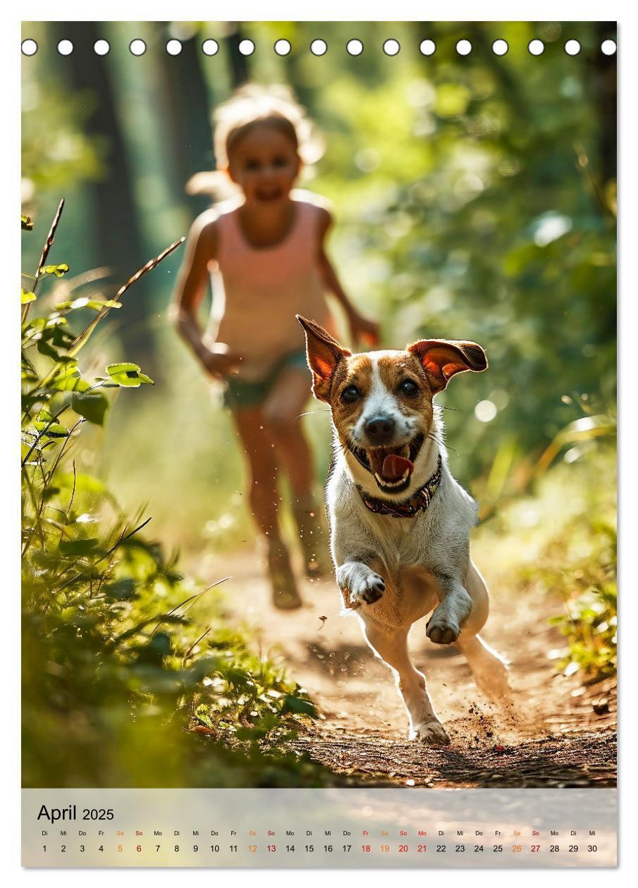 Bild: 9783383778865 | Jack Russel Terrier - furchtlos und viel Selbstvertrauen...