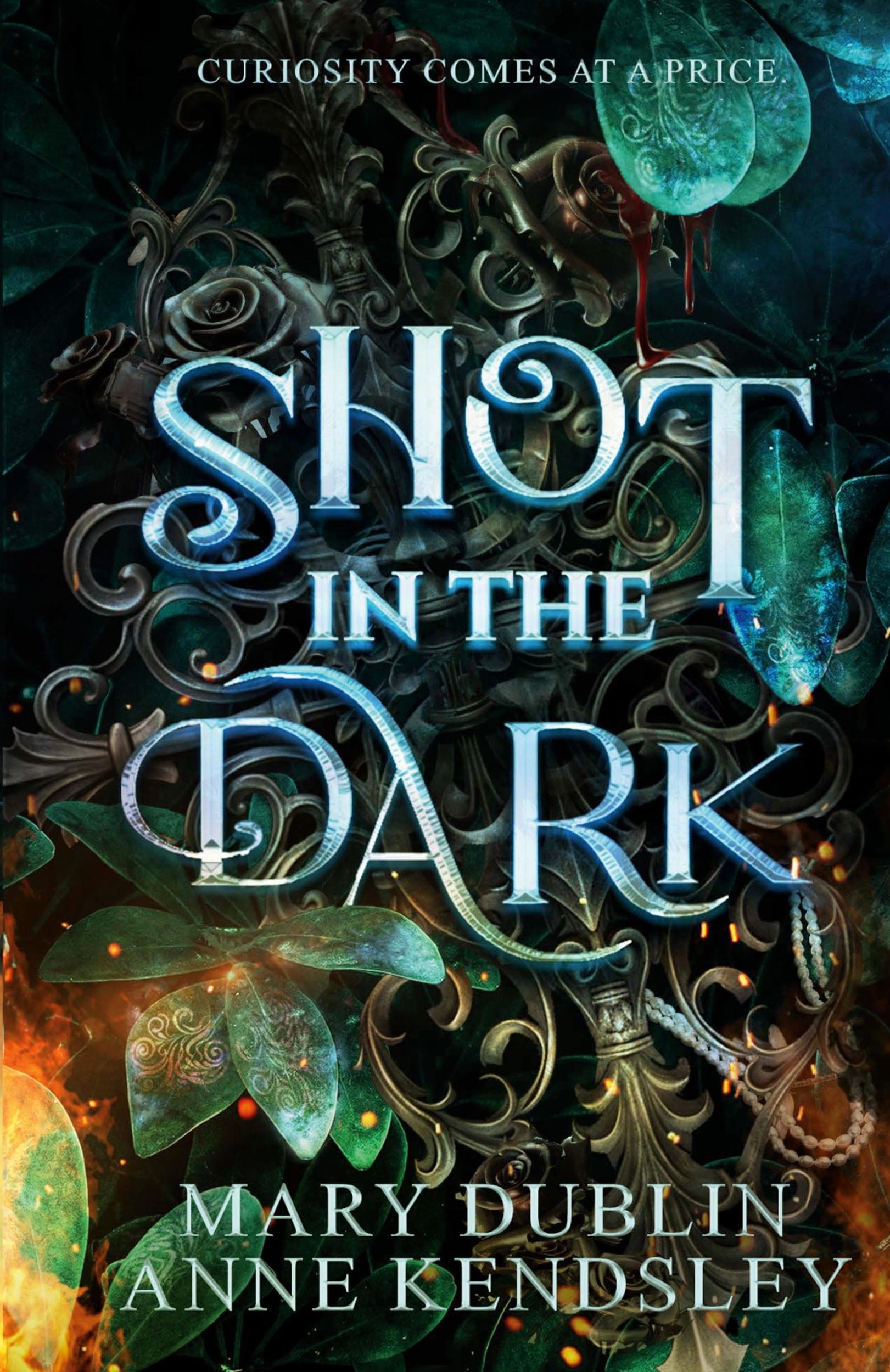 Cover: 9798988490111 | Shot in the Dark | Mary Dublin (u. a.) | Taschenbuch | Englisch | 2024