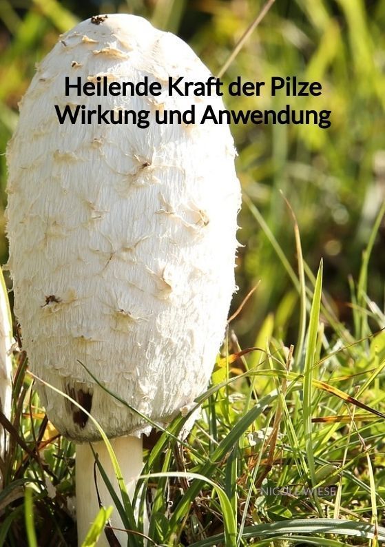 Cover: 9783347901919 | Heilende Kraft der Pilze Wirkung und Anwendung | Nicole Wiese | Buch