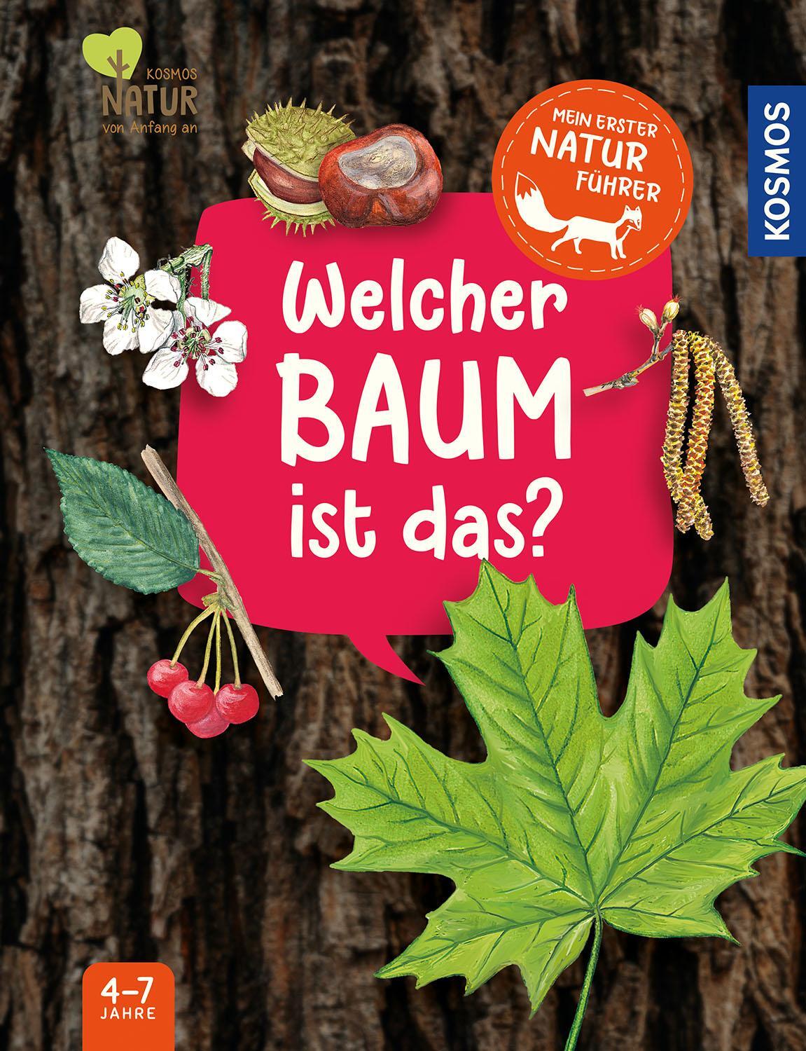 Cover: 9783440180730 | Mein erster Naturführer, Welcher Baum ist das? | Julia Hiller | Buch