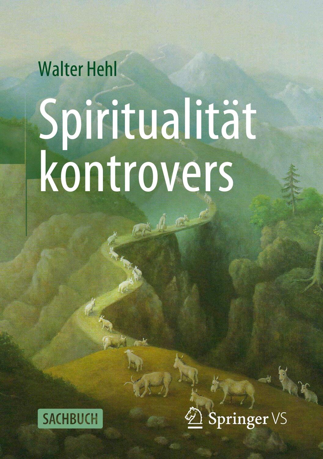 Cover: 9783658406165 | Spiritualität kontrovers | Walter Hehl | Taschenbuch | Deutsch | 2023
