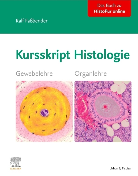 Cover: 9783437434266 | Kursskript Histologie | Ralf Faßbender | Taschenbuch | Spiralbindung