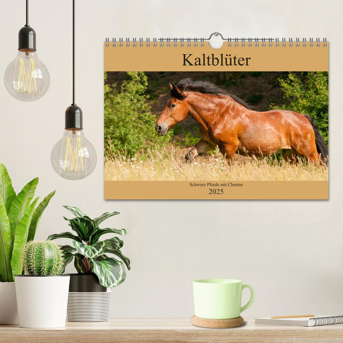 Bild: 9783435270958 | Kaltblüter - Schwere Pferde mit Charme (Wandkalender 2025 DIN A4...