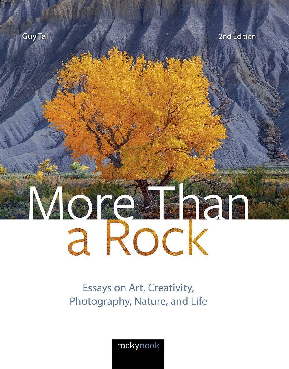 Cover: 9781681986838 | More Than a Rock, 2nd Edition: Essays on Art, Creativity,...