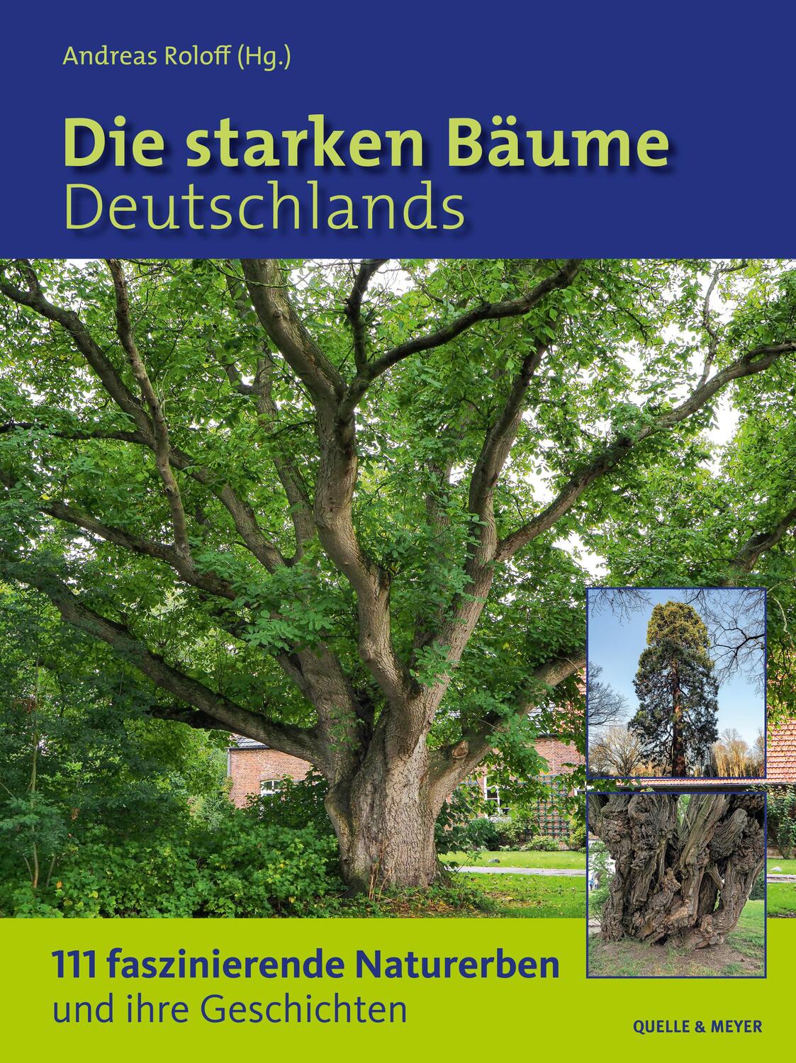 Cover: 9783494018140 | Die starken Bäume Deutschlands | Andreas Roloff | Buch | Deutsch