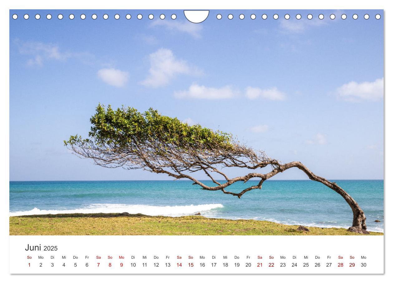 Bild: 9783383791475 | Guadeloupe, Trauminsel der Französische Antillen (Wandkalender 2025...