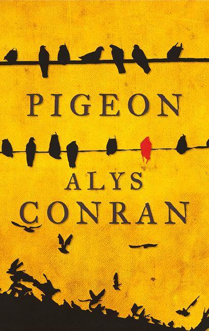 Cover: 9781910901236 | Pigeon | Alys Conran | Taschenbuch | Kartoniert / Broschiert | 2016