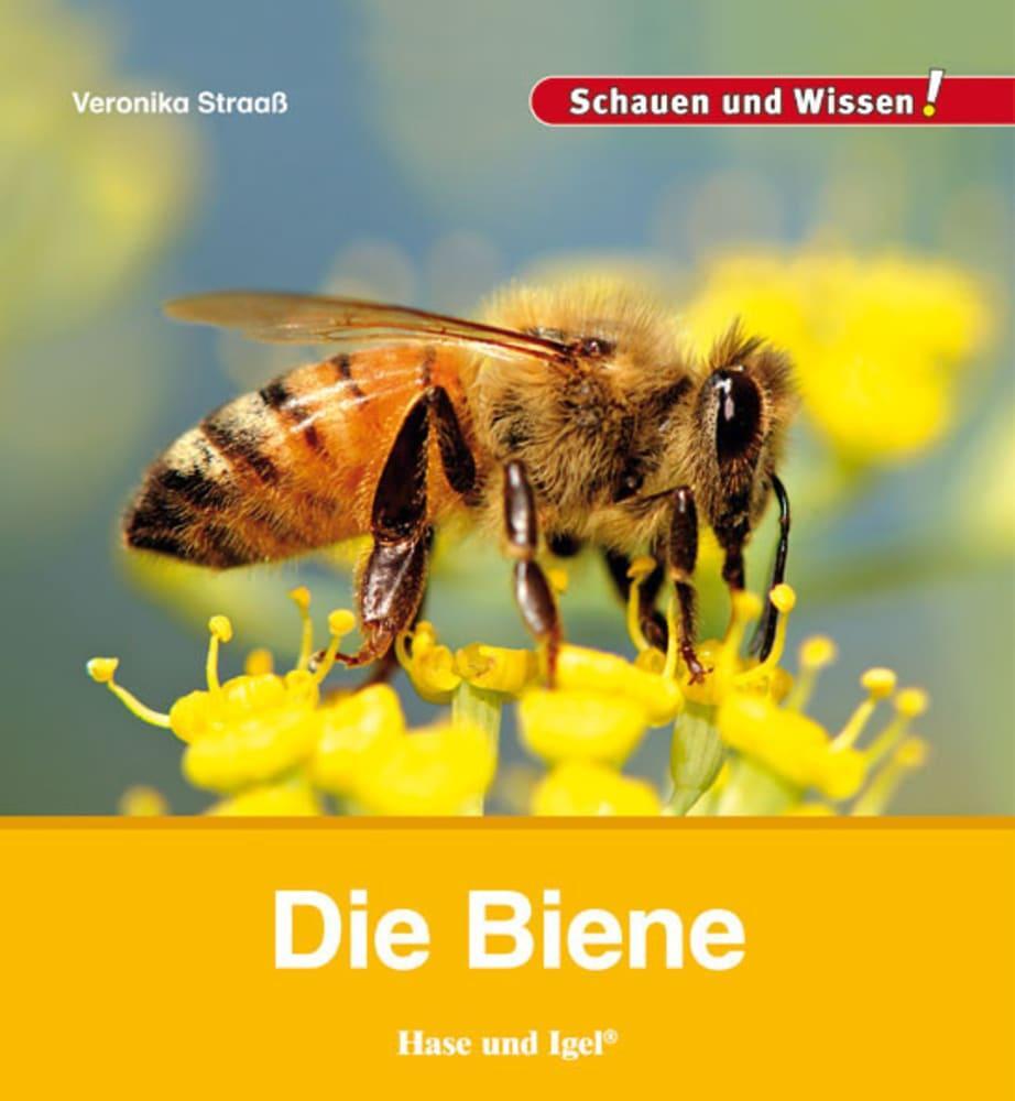 Cover: 9783867607896 | Die Biene | Schauen und Wissen! | Veronika Straaß | Buch | 34 S.