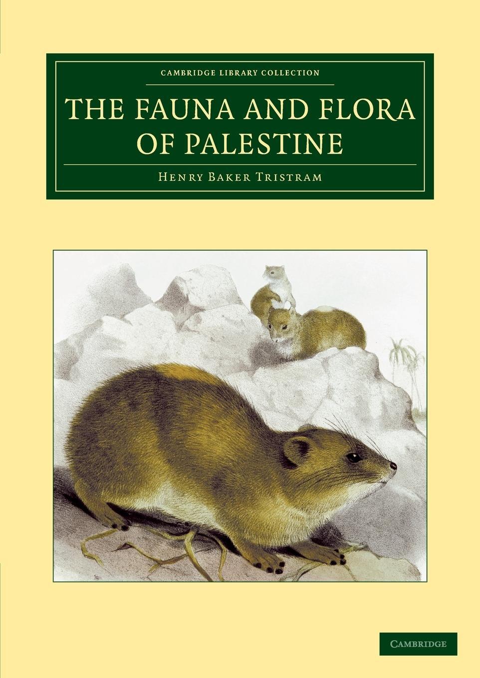Cover: 9781108042048 | The Fauna and Flora of Palestine | Henry Baker Tristram | Taschenbuch