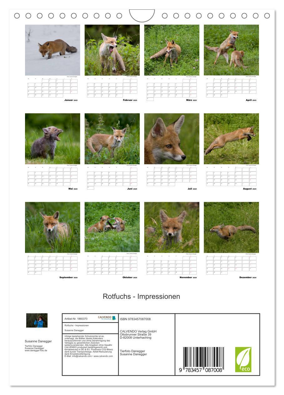 Bild: 9783457087008 | Rotfuchs - Impressionen (Wandkalender 2025 DIN A4 hoch), CALVENDO...