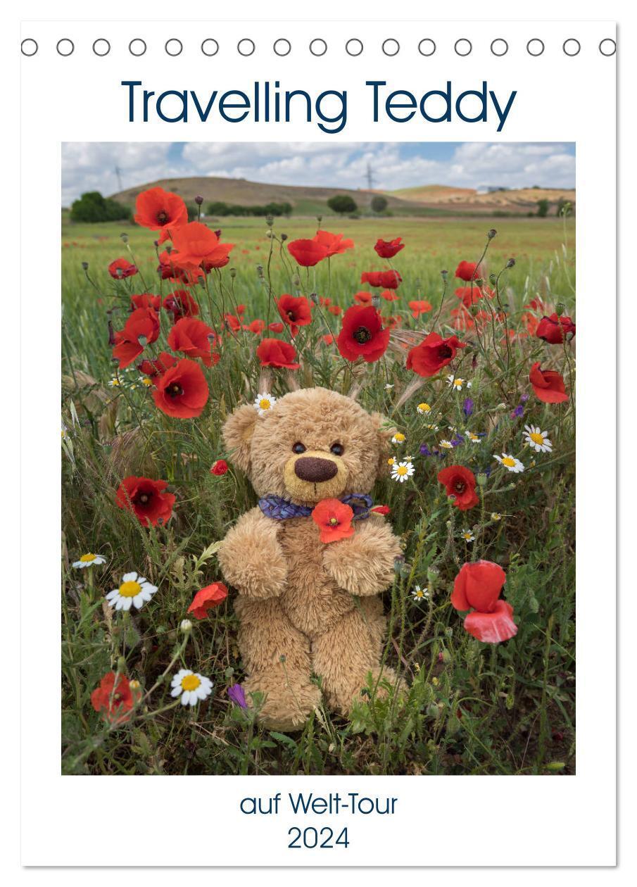 Cover: 9783675631359 | Travelling Teddy auf Welt-Tour (Tischkalender 2024 DIN A5 hoch),...