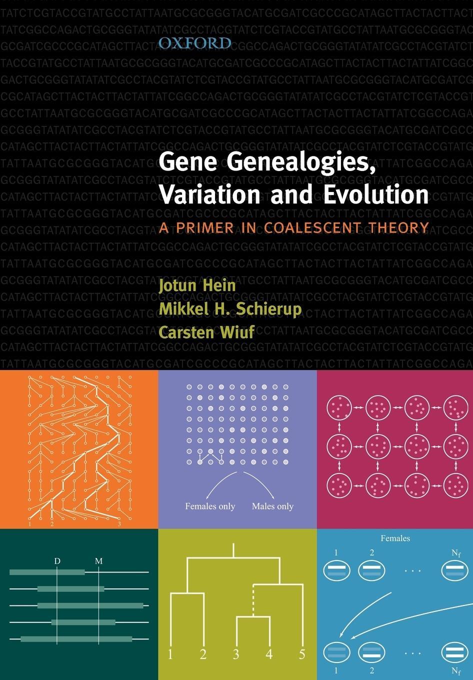 Cover: 9780198529965 | Gene Genealogies, Variation and Evolution | Jotun Hein (u. a.) | Buch