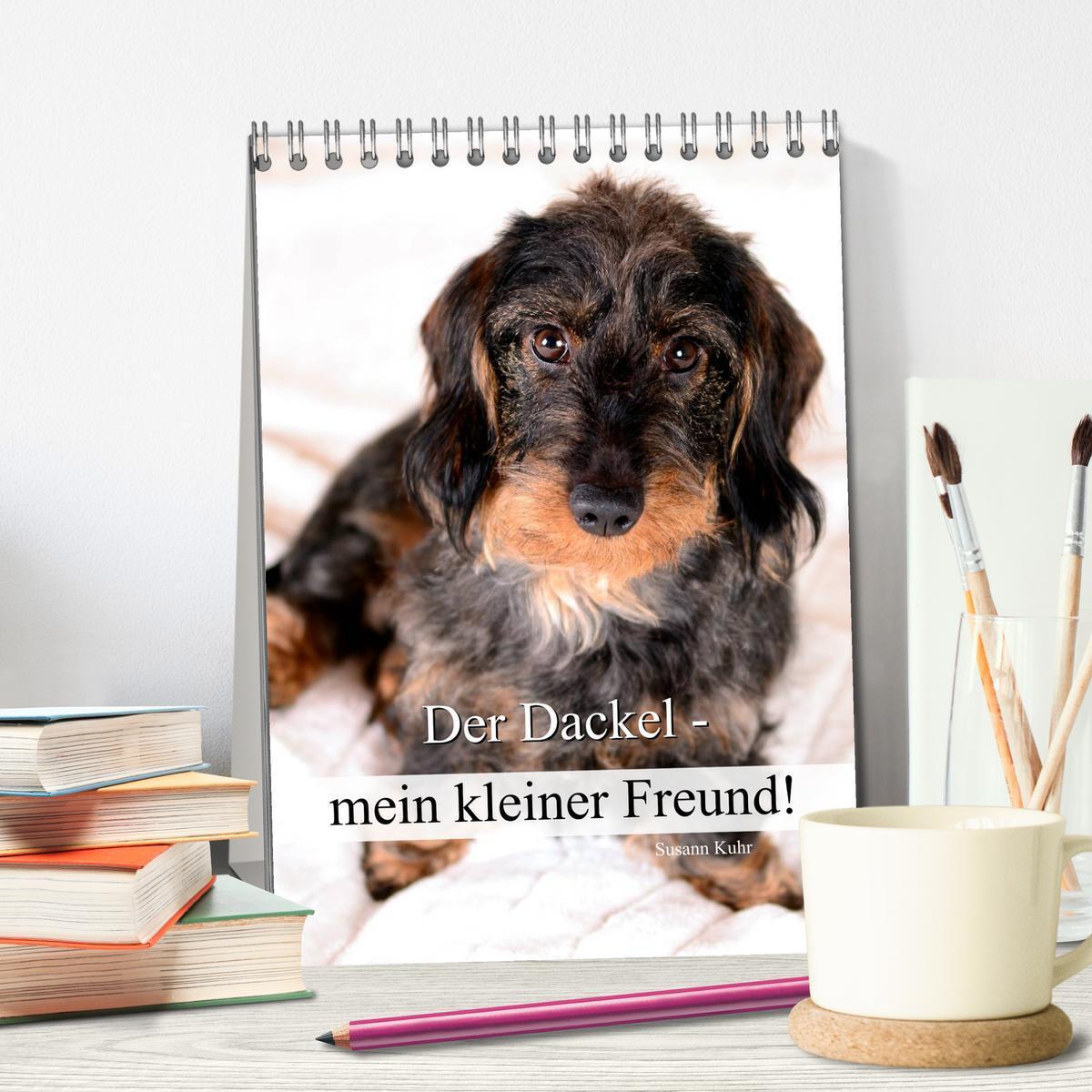 Bild: 9783457013472 | Der Dackel - mein kleiner Freund (Tischkalender 2025 DIN A5 hoch),...