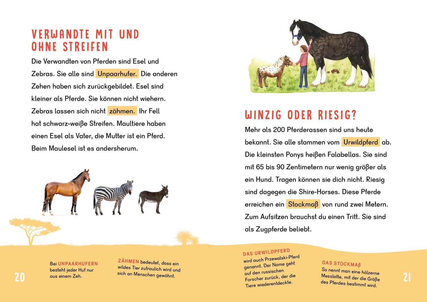 Bild: 9783411780013 | Dein Lesestart - Pferde und Ponys | Karolin Küntzel | Buch | 64 S.