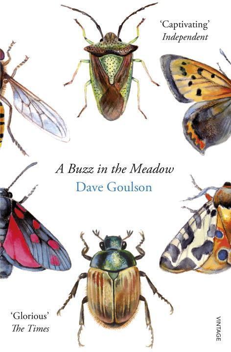 Cover: 9780099597698 | A Buzz in the Meadow | Dave Goulson | Taschenbuch | Englisch | 2015