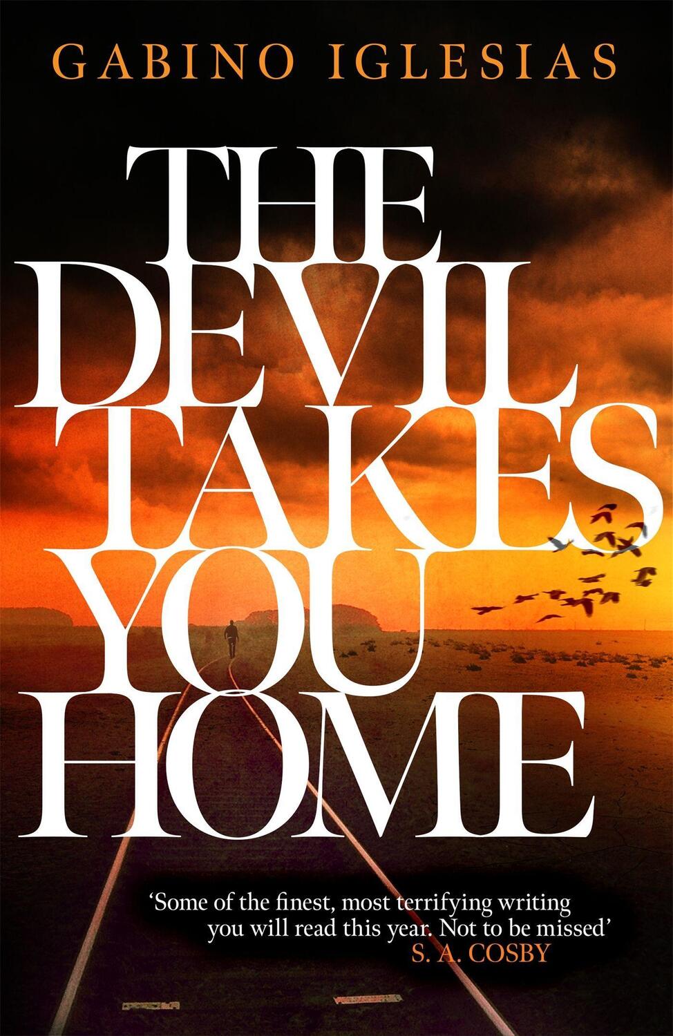 Cover: 9781472291059 | The Devil Takes You Home | the acclaimed up-all-night thriller | Buch