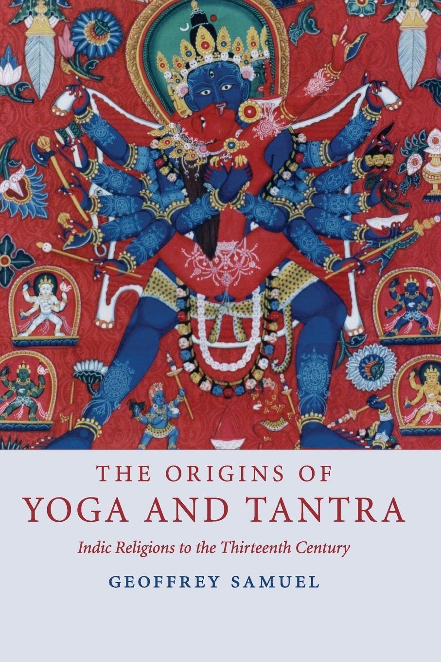 Cover: 9780521695343 | The Origins of Yoga and Tantra | Geoffrey Samuel | Taschenbuch | 2017