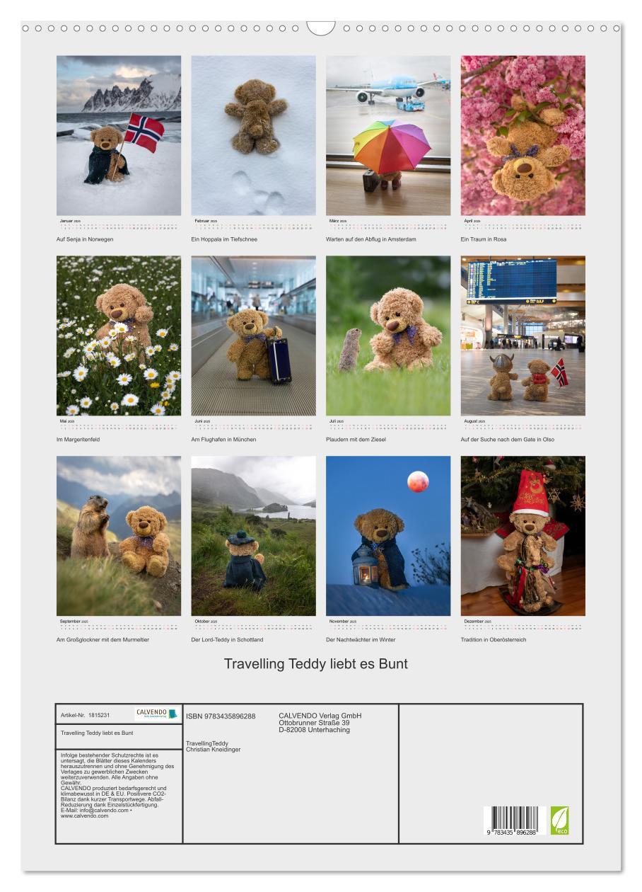 Bild: 9783435896288 | Travelling Teddy liebt es Bunt (Wandkalender 2025 DIN A2 hoch),...