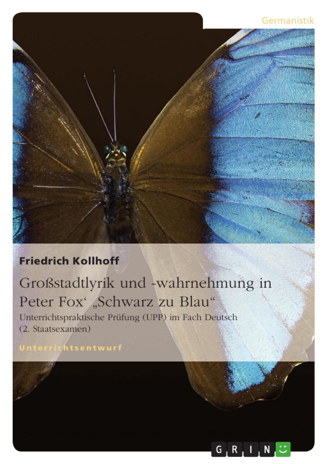 Cover: 9783656029007 | Großstadtlyrik und -wahrnehmung in Peter Fox' "Schwarz zu Blau" | Buch