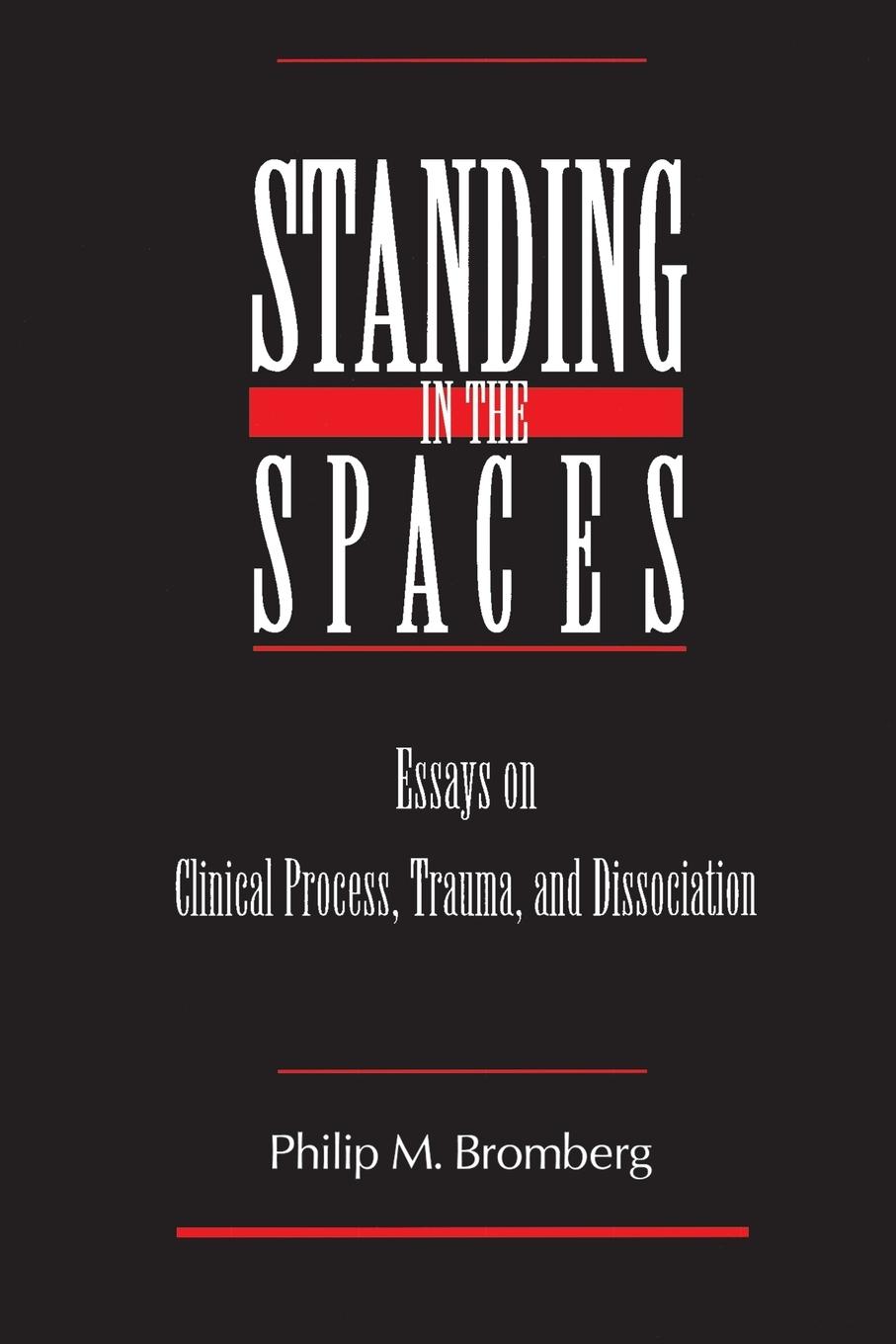 Cover: 9780881633566 | Standing in the Spaces | Philip M. Bromberg | Taschenbuch | Englisch