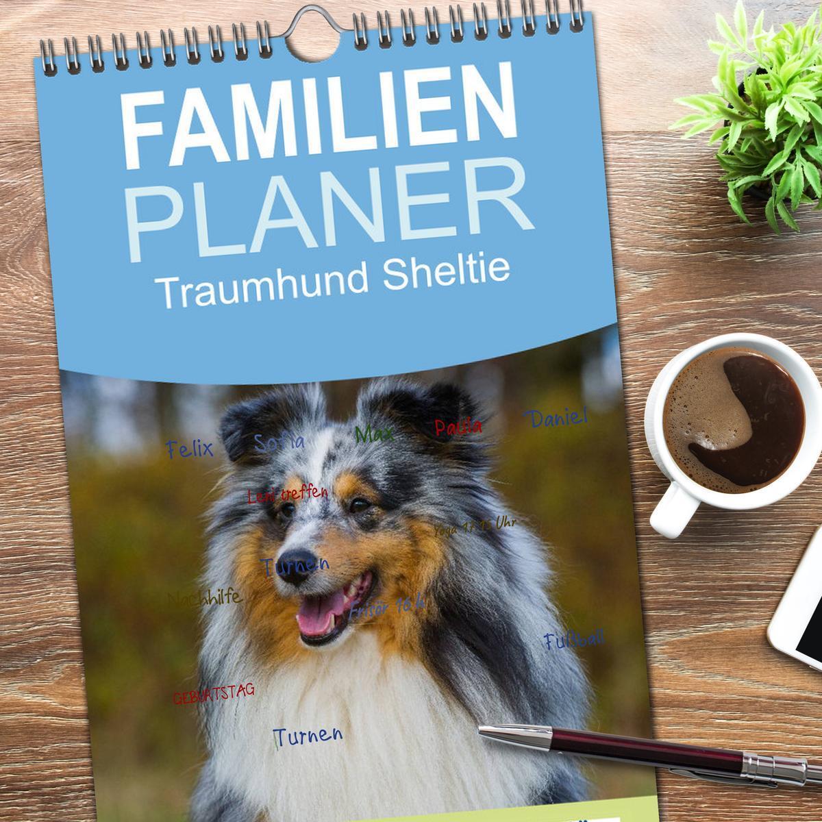 Bild: 9783457125243 | Familienplaner 2025 - Traumhund Sheltie mit 5 Spalten...