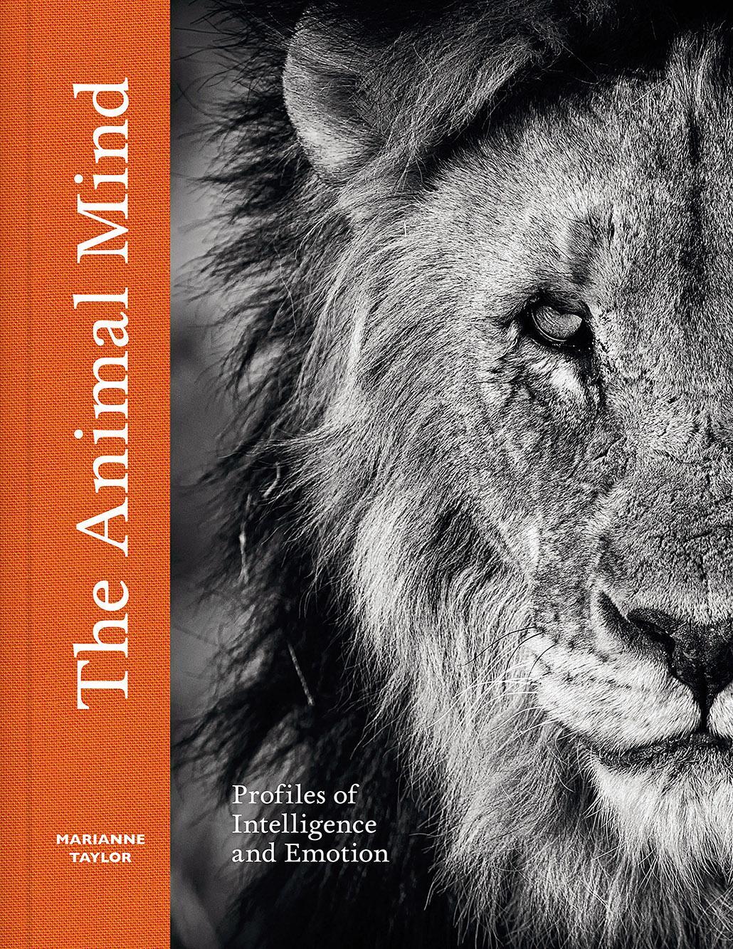 Cover: 9781419768491 | The Animal Mind | Profiles of Intelligence and Emotion | Taylor | Buch