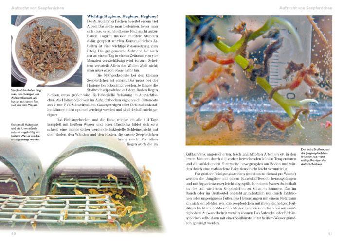 Bild: 9783866590571 | Seepferdchen im Meerwasseraquarium | Pflege und Nachzucht | Mai | Buch