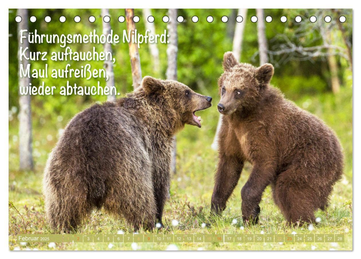 Bild: 9783383881855 | Spaß mit Bären: Edition lustige Tiere (Tischkalender 2025 DIN A5...