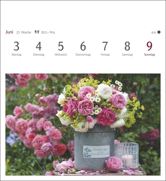 Bild: 9783840032301 | Blumenpracht Postkartenkalender 2024. Kalender mit 53 traumhaften...