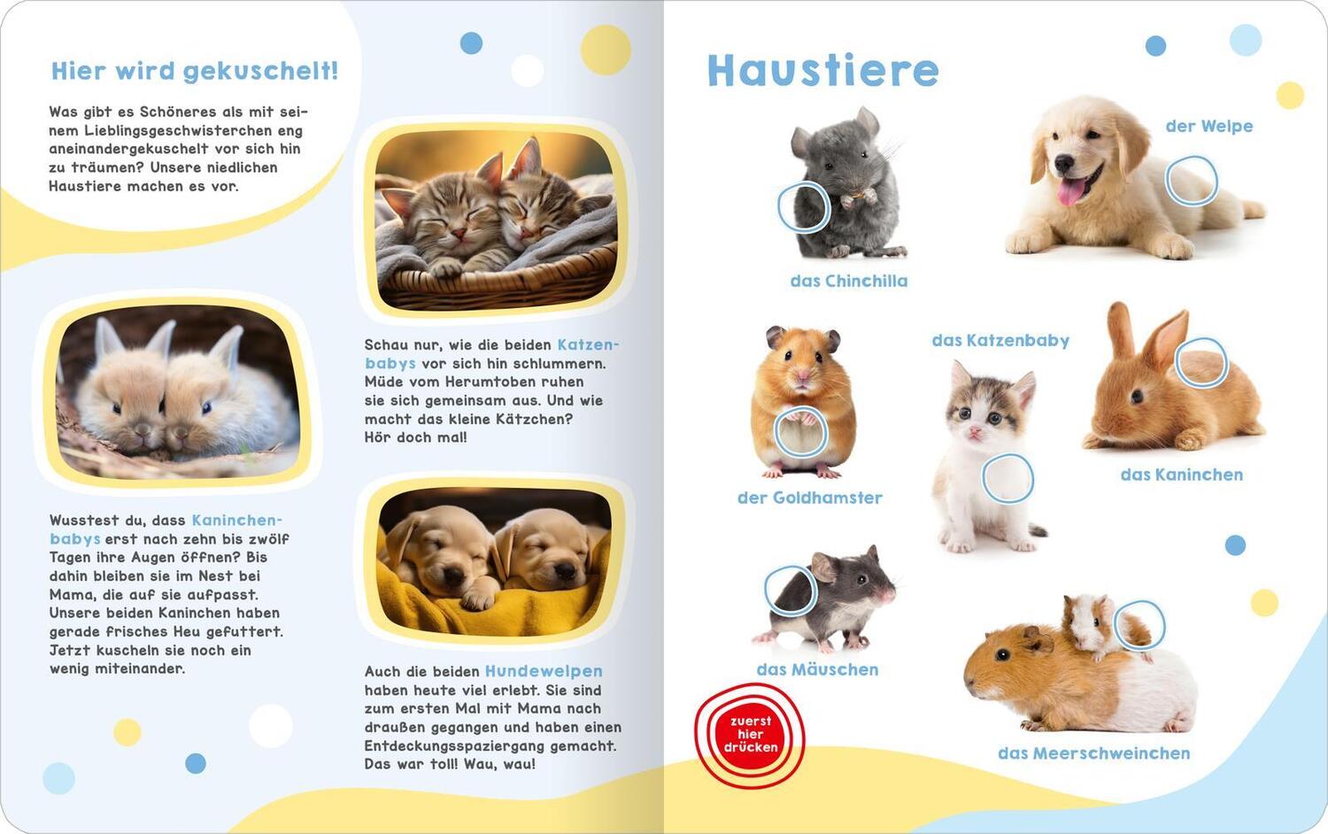 Bild: 9783845860985 | Mein großes Geräuschebuch - Tierbabys | Mit 43 Sounds | Buch | 16 S.