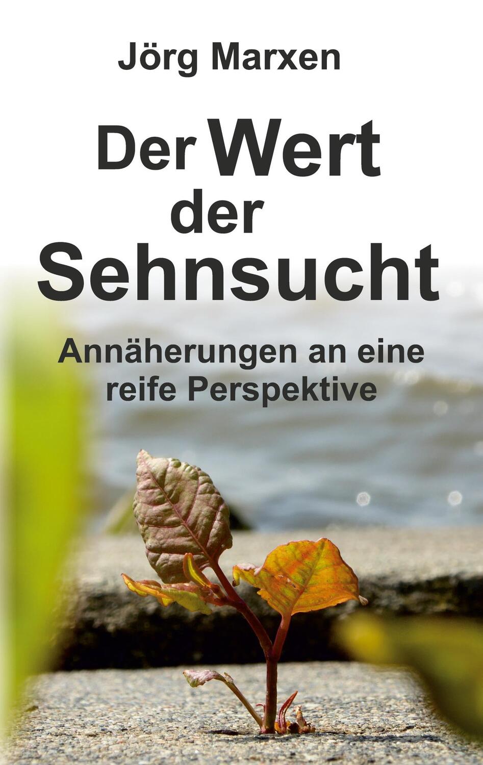 Cover: 9783347148369 | Der Wert der Sehnsucht | Annäherungen an eine reife Perspektive | Buch