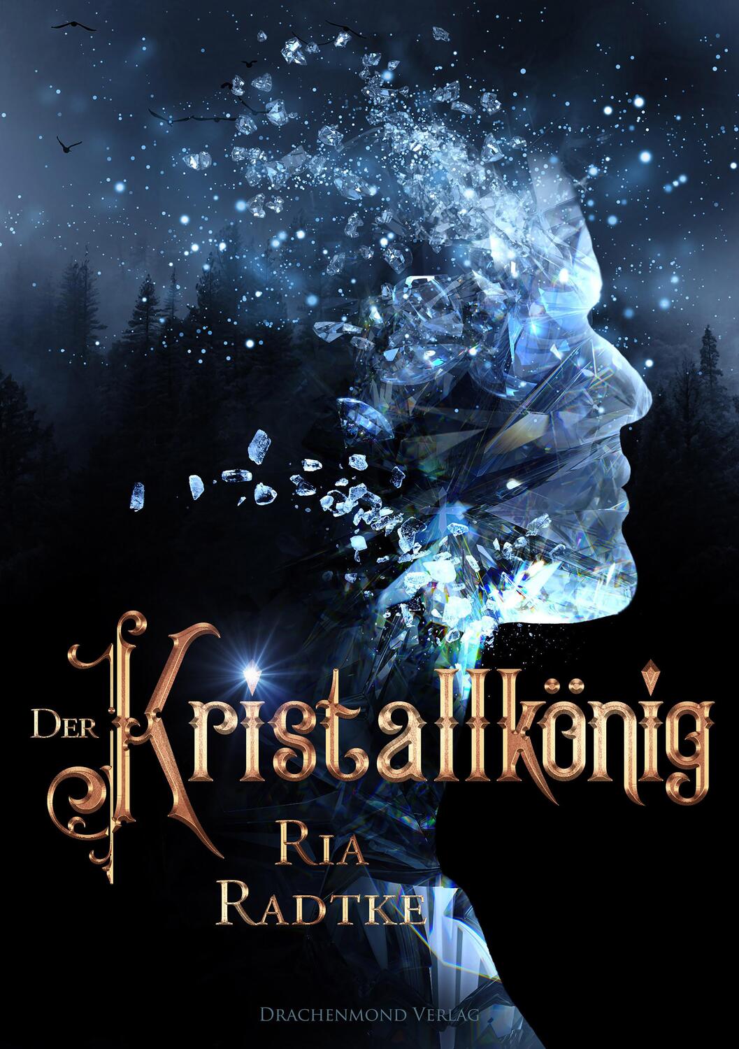 Cover: 9783959919418 | Der Kristallkönig | Ria Radtke | Taschenbuch | Deutsch | 2022