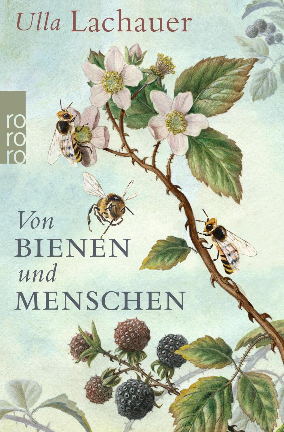Cover: 9783499632433 | Von Bienen und Menschen | Eine Reise durch Europa | Ulla Lachauer