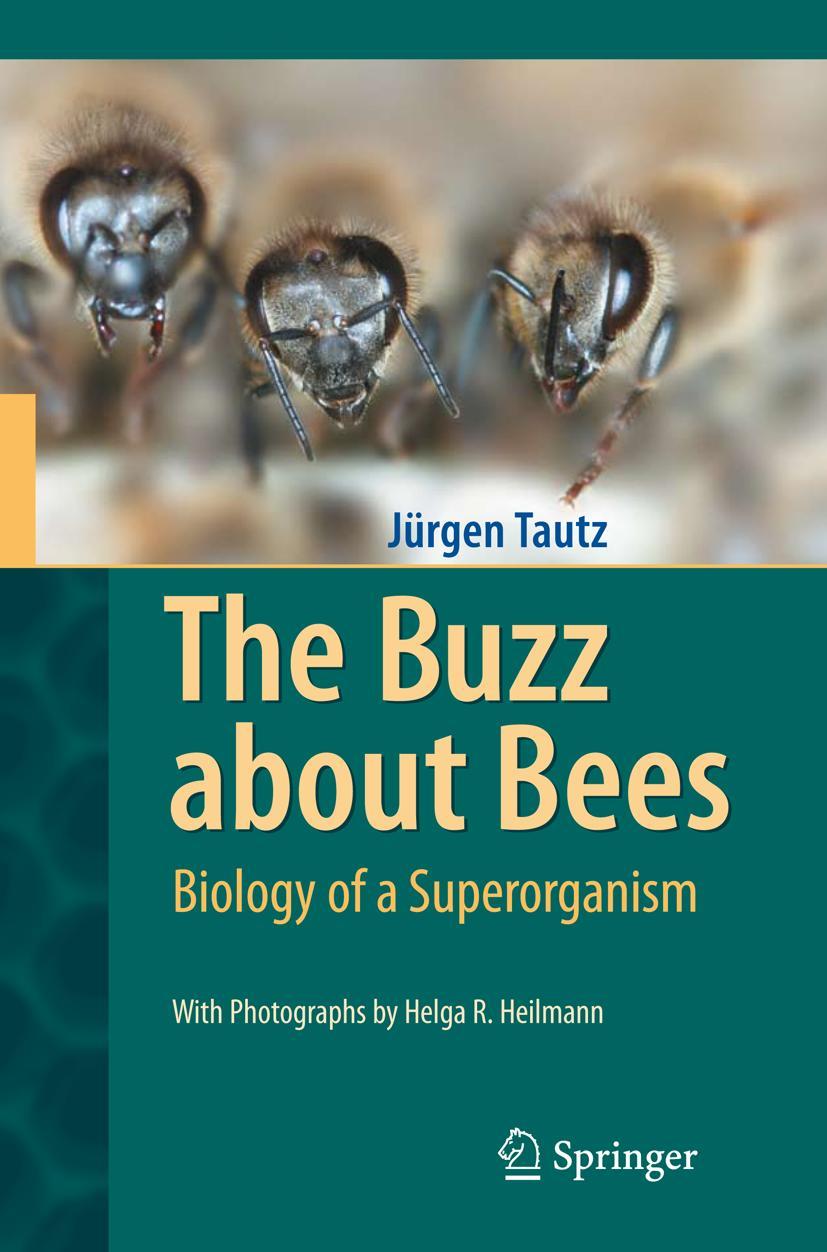 Cover: 9783540787273 | The Buzz about Bees | Biology of a Superorganism | Jürgen Tautz | Buch