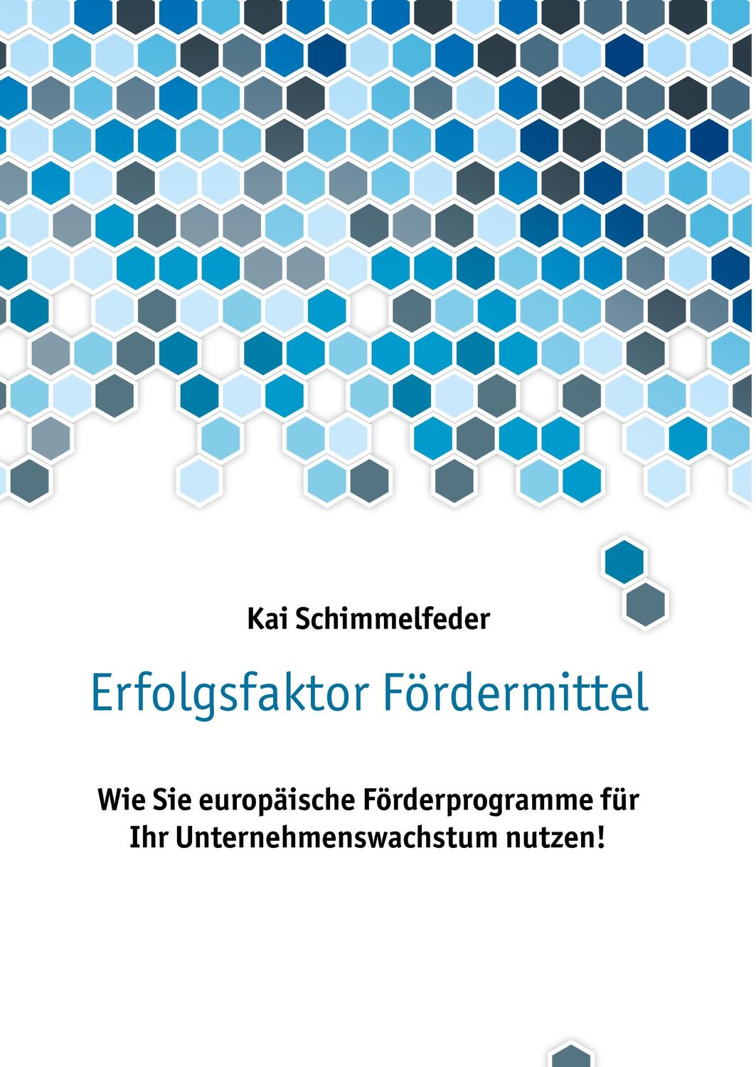 Cover: 9783752824711 | Erfolgsfaktor Fördermittel | Kai Schimmelfeder | Buch | 304 S. | 2019