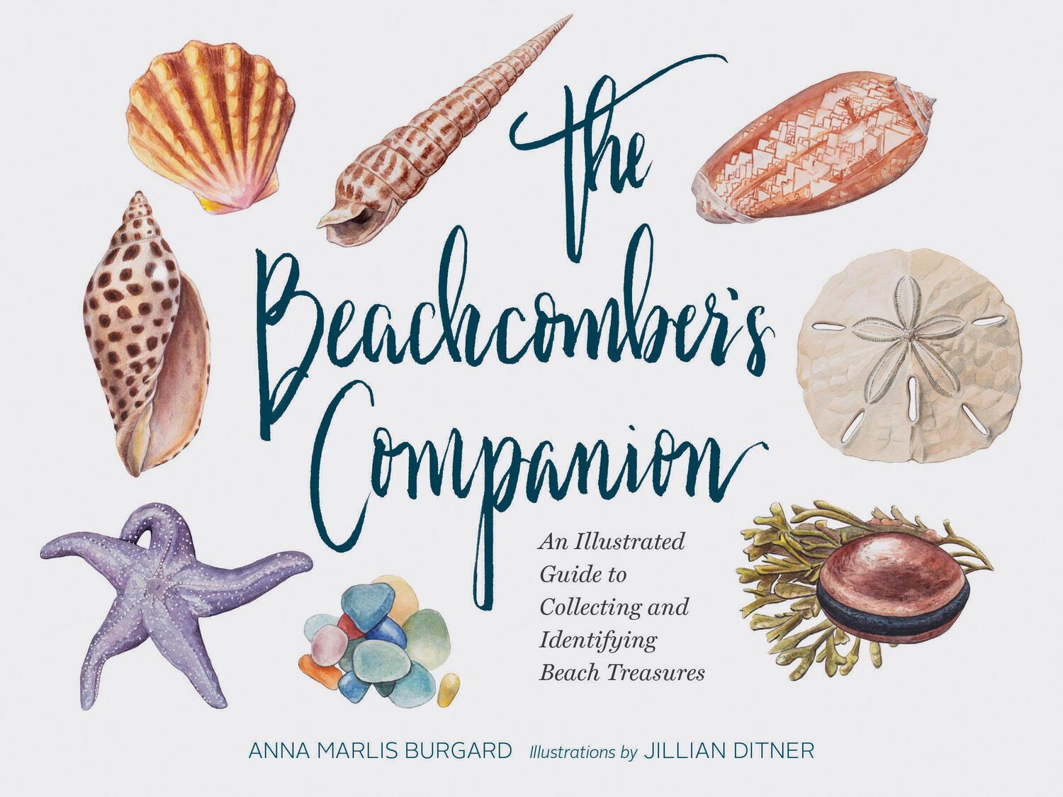 Cover: 9781452161167 | The Beachcomber's Companion: An Illustrated Guide to Collecting and...