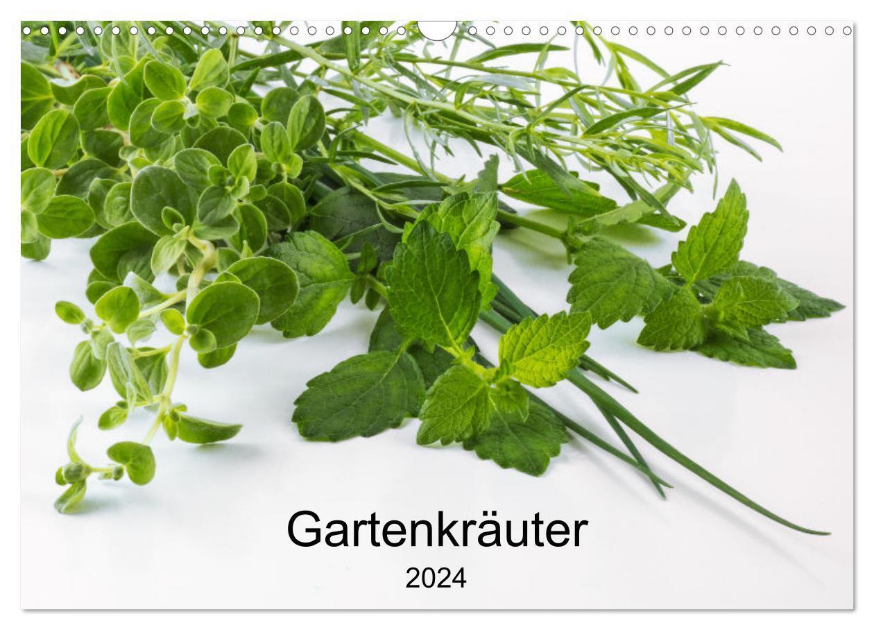 Cover: 9783675660595 | Gartenkräuter (Wandkalender 2024 DIN A3 quer), CALVENDO Monatskalender