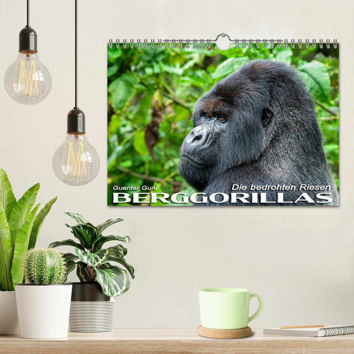 Bild: 9783435119516 | Berggorillas: die bedrohten Riesen (Wandkalender 2025 DIN A4 quer),...