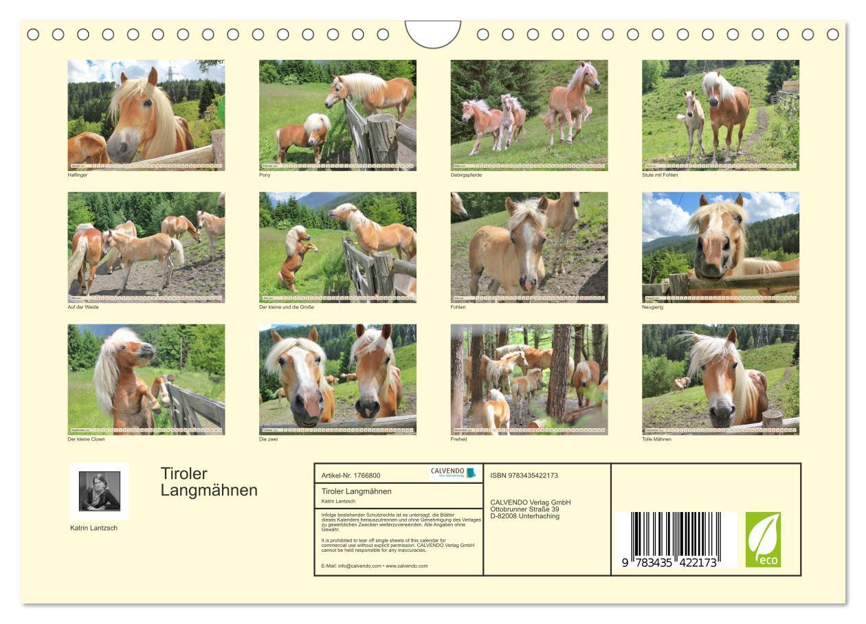 Bild: 9783435422173 | Tiroler Langmähnen (Wandkalender 2025 DIN A4 quer), CALVENDO...